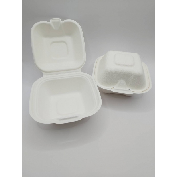  Biodegradable-Burger Box