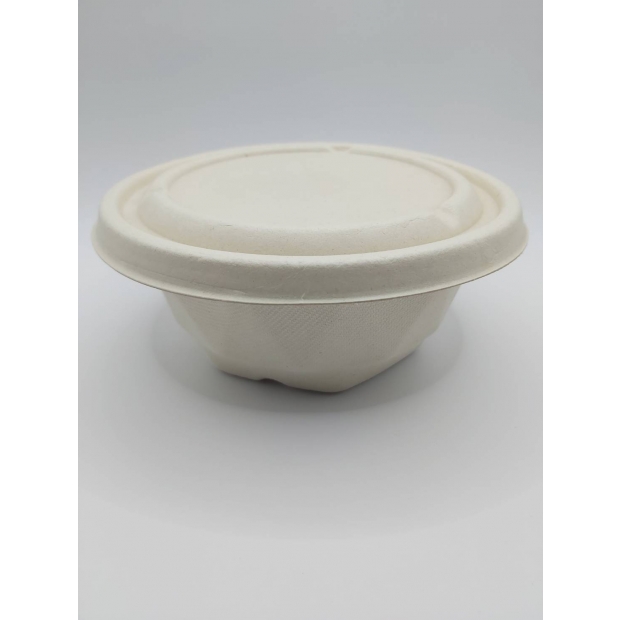  Biodegradable - Disposable Lunch Box 