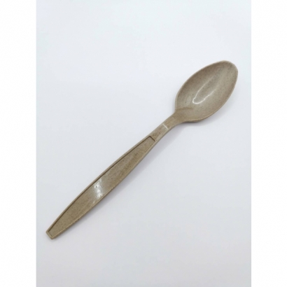 Biodegradable-Spoon