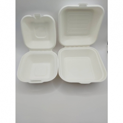  Biodegradable-Burger Box